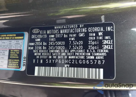 2020 Kia Telluride S z USA, uszkodzony, nr VIN 5XYP6DHC2LG065787